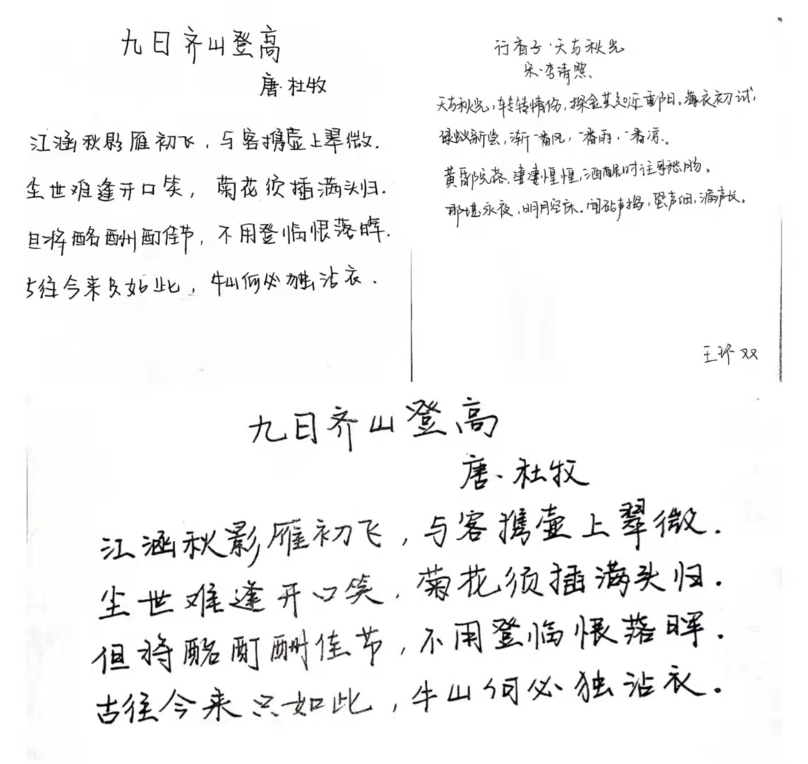 永利集团304am登录