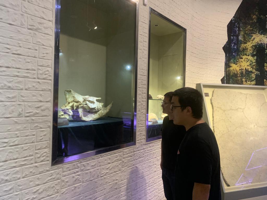 永利集团304am登录