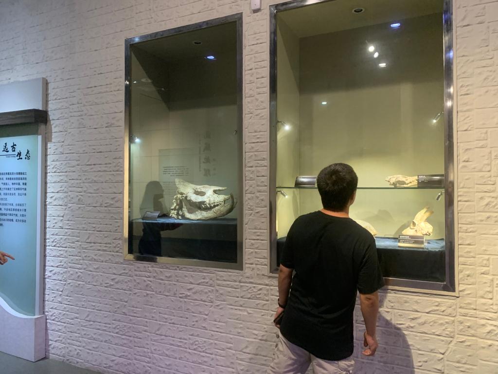 永利集团304am登录